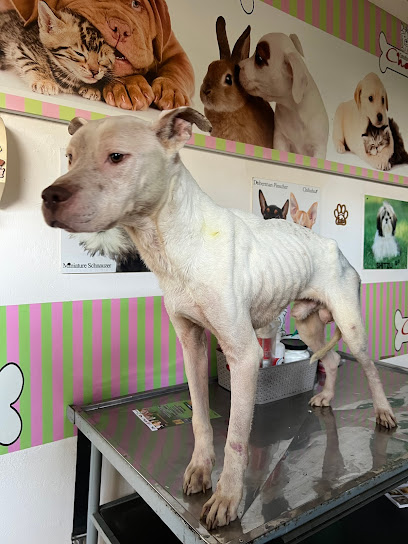 AF1QipP 5bp0rR MuiddHo iBGCH P8llsHPU61fs7 mw408 h544 k no