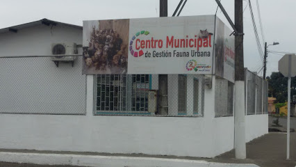 AF1QipP1fX1JI3vVKwZNgZQIAXbD20d8iTiaTTGuw5eWw426 h240 k no