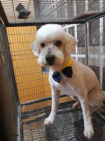 AF1QipP1m0tT7Kn9yR4nCkaYYPS1PS9LYSiAgXXd0 Stw408 h544 k no