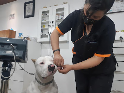 AF1QipP3PmH8UTm2PtRo 6LWV0sONB2E6K6SaEx9l9lZw408 h306 k no