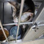 AF1QipP4G6 qmHO0yjH6JmzlvREZaU9h73v7bFKABx0Kw408 h544 k no