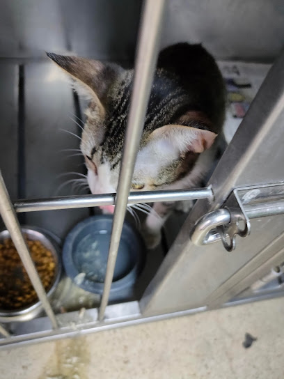 AF1QipP4G6 qmHO0yjH6JmzlvREZaU9h73v7bFKABx0Kw408 h544 k no