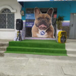 AF1QipP5wgp JxqbcWEFfL2nhQVXYVhWflBiXLuMOWiJw408 h544 k no