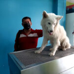 AF1QipP7lPK5clZFQoxmFVsy4g9avJ vVS7MHk1HKMugw408 h306 k no