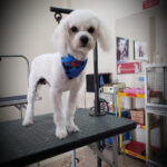 AF1QipP86UKYK BEcwPGWjANp8ELVGM2Asv9SMHoLptPw408 h544 k no