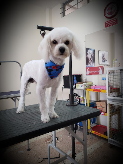 AF1QipP86UKYK BEcwPGWjANp8ELVGM2Asv9SMHoLptPw408 h544 k no