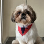 AF1QipP9p8 L37YJHPlxh9wJNIDTr84OrAzihfHbm0Jrw408 h544 k no