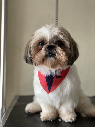 AF1QipP9p8 L37YJHPlxh9wJNIDTr84OrAzihfHbm0Jrw408 h544 k no