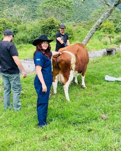 AF1QipPA7GWT 6e B90 MGVFn9nf9btazUDZDK9dYGhew408 h510 k no