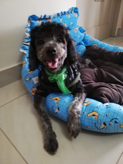 AF1QipPAuKO08sLvIqdVRp2pp0cYg8QYLAJUpfuYEBkhw408 h544 k no