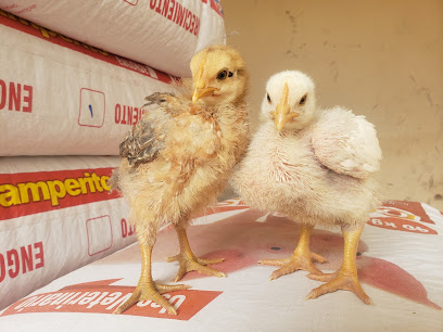 AF1QipPBqDpEWsPV4wkQoD7TBELOBVlK1d mrb5qC EYw408 h306 k no