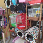 AF1QipPENiHknuPKVrd1z6Qw0hOcWXROYsp wD1gRuNfw408 h544 k no