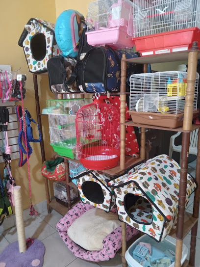 AF1QipPENiHknuPKVrd1z6Qw0hOcWXROYsp wD1gRuNfw408 h544 k no