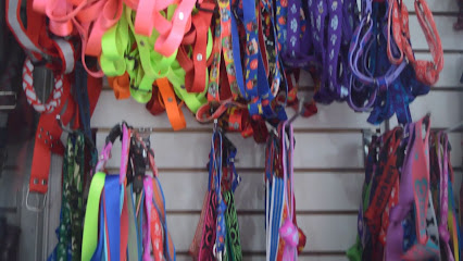 AF1QipPGsLsABD EW RO9Ugj6ArTcF2t72rPbAHuDBiew426 h240 k no