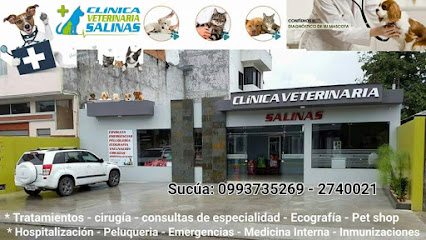 AF1QipPIQ cDAevg5jmXj8A 3bzR1eYf6Hjl2A4R8BCRw426 h240 k no