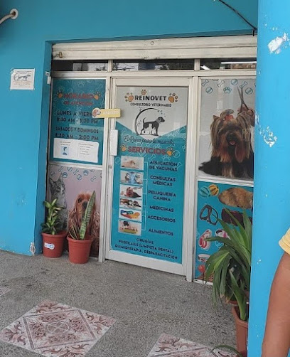 AF1QipPMJJBbLG4CHNXGQiKPuyvng5mTYC zFxk1Koljw408 h502 k no