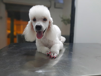 AF1QipPND aKfM08 jiAn7aJQQipO3JbeVqsk6vAbUx8w408 h306 k no