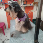 AF1QipPQVdbnO1jaDTlShLaTuWm Wv2UfulLDI00ScnJw408 h534 k no