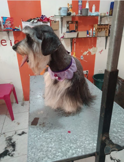 AF1QipPQVdbnO1jaDTlShLaTuWm Wv2UfulLDI00ScnJw408 h534 k no