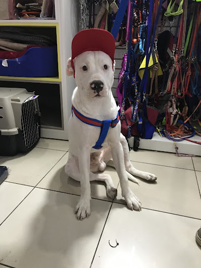 Clinica Vinyo – Machala