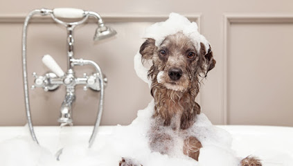 VETERINARIA RUNVET – Guayaquil