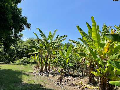 AF1QipPW43R4UIgz5tyXdwJg1zLO 7SqMVMIEArIl N3w408 h306 k no