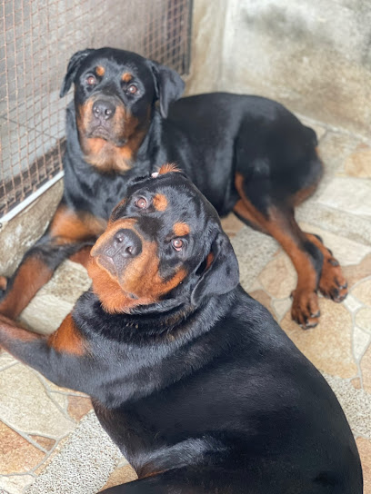 AF1QipP cLHPUSI6rQEln0PIvEaG8XmAT9AX72YzFmw1w408 h544 k no