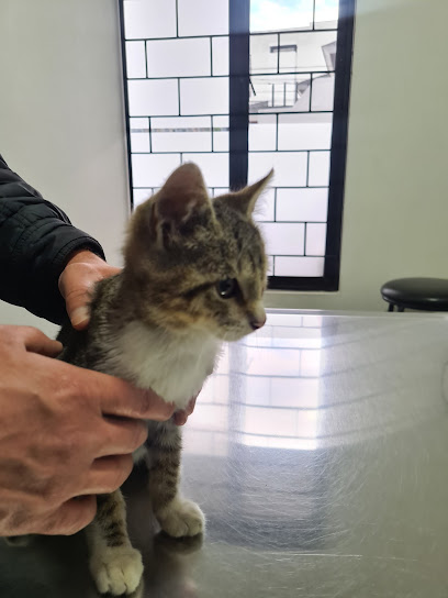 AF1QipP fTpoWac7pw5whtTdwzwr2zhuzvDrUwGGY cPw408 h544 k no