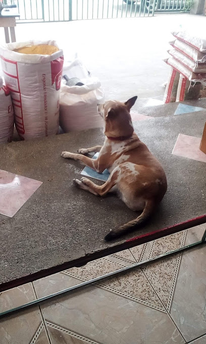 AF1QipP uyHNpTt43RbT4I2wghxU0OHeYHXSYsiKGPs5w408 h680 k no