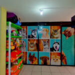 AF1QipPbOSHuaj6MesO B8JG fb81DWsusGAQn 06dOxw408 h240 k no pi 0 ya1762 ro0 fo100