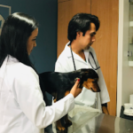 AF1QipPe5GzJxHJBHyAvnNhqpBSnNhlMLU0I7uzXkQRiw426 h240 k no