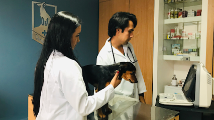 AF1QipPe5GzJxHJBHyAvnNhqpBSnNhlMLU0I7uzXkQRiw426 h240 k no