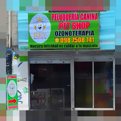 Rey Mascota – Quito