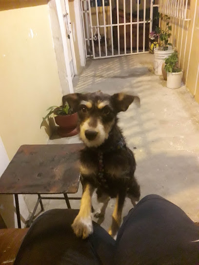 El Arca – La Libertad