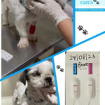 AF1QipPi7cmRJFa2 Pz3DDa5SA 1MXUZB 5HRyouKM0Rw408 h725 k no