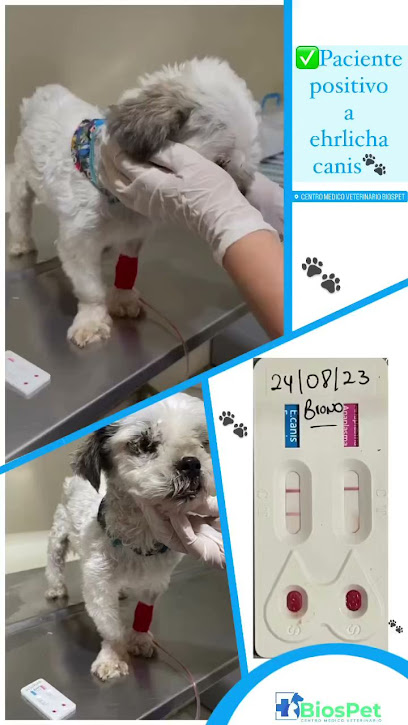 AF1QipPi7cmRJFa2 Pz3DDa5SA 1MXUZB 5HRyouKM0Rw408 h725 k no