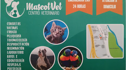 AF1QipPjah1rjP59uhprguSRkMdWr2tWJq2r93O5iYM5w427 h240 k no