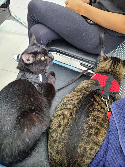 AF1QipPlRdeFrnX42520zgEbOAceizebrV96n0XYqcpIw408 h544 k no