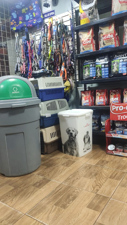 AF1QipPpGpZe7MMtnkDxTGvCeSSK8G8ne5wrYTcQqoiaw408 h725 k no