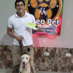 AF1QipPpsw6j0Hob7lff3S53ewh7 2btut8kAhyMaSOzw408 h906 k no