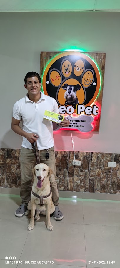 AF1QipPpsw6j0Hob7lff3S53ewh7 2btut8kAhyMaSOzw408 h906 k no