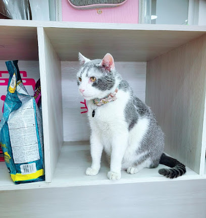 D’Gatitos Veterinaria – Manta