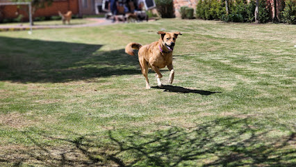 Emma Home Pets – Cuenca