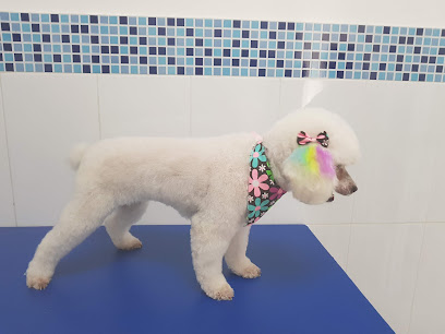 AF1QipPvpgCaDEKMGTj8CCwWX90FGGpXc7x2Z8 wpvGAw408 h306 k no