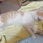 AF1QipPxIJttejiZp3upUQjrdeuJBYu1BfOADBEdgMaEw408 h306 k no