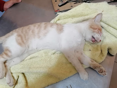 Veterinaria MI MASCOTA – Huaquillas