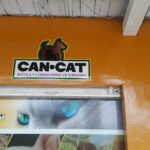 AF1QipPz1wqvZw5WpEmL4mFOLu3MXESzIt57tSgsQqEjw426 h240 k no