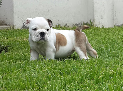 AF1QipPzqMxOw9h VrItSA8P UJj6tgoX4TCRQF5BSF7w408 h302 k no