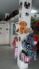 Doctor Pet – Cuenca